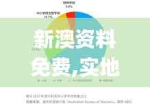 新澳资料免费,实地数据解释定义_粉丝版67.193-8