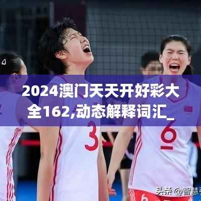 2024澳门天天开好彩大全162,动态解释词汇_5DM35.379-6