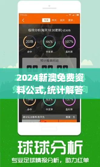 2024新澳免费资料公式,统计解答解释定义_基础版10.133