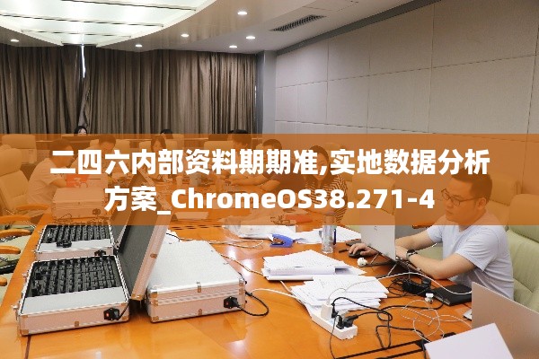二四六内部资料期期准,实地数据分析方案_ChromeOS38.271-4