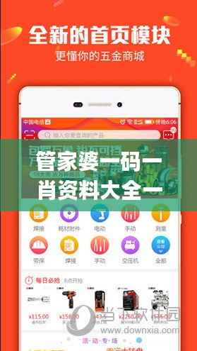 管家婆一码一肖资料大全一语中特,数据执行驱动决策_M版92.386-1