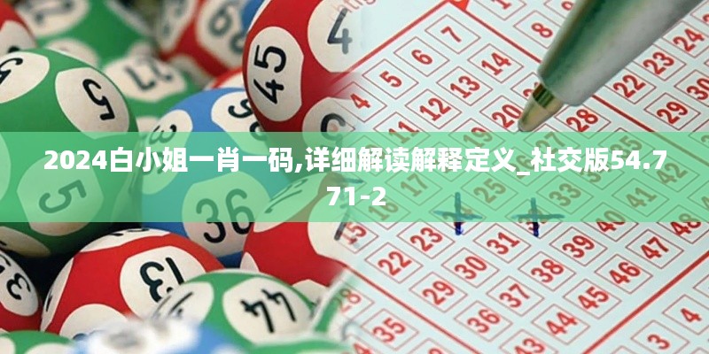 2024白小姐一肖一码,详细解读解释定义_社交版54.771-2