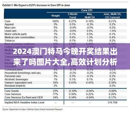 2024澳门特马今晚开奖结果出来了吗图片大全,高效计划分析实施_DX版3.963-9