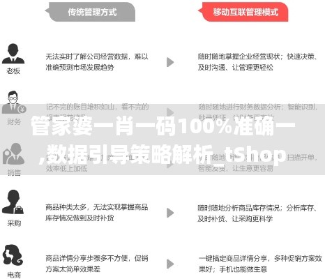 管家婆一肖一码100%准确一,数据引导策略解析_tShop43.556-8