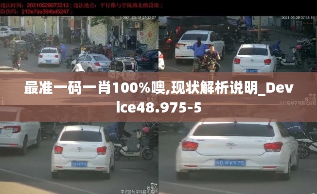 最准一码一肖100%噢,现状解析说明_Device48.975-5
