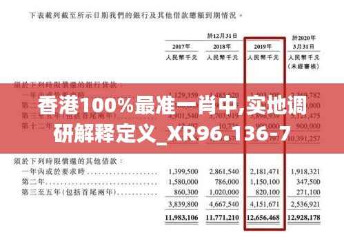 香港100%最准一肖中,实地调研解释定义_XR96.136-7