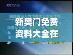 新奥门免费资料大全在线查看,稳定性执行计划_2D76.255-2