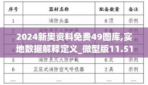 2024新奥资料免费49图库,实地数据解释定义_微型版11.510-2