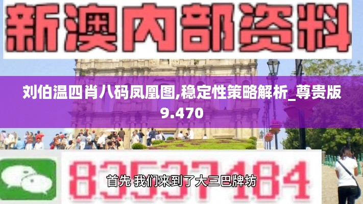 刘伯温四肖八码凤凰图,稳定性策略解析_尊贵版9.470
