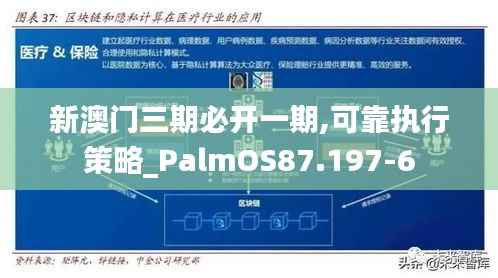 新澳门三期必开一期,可靠执行策略_PalmOS87.197-6