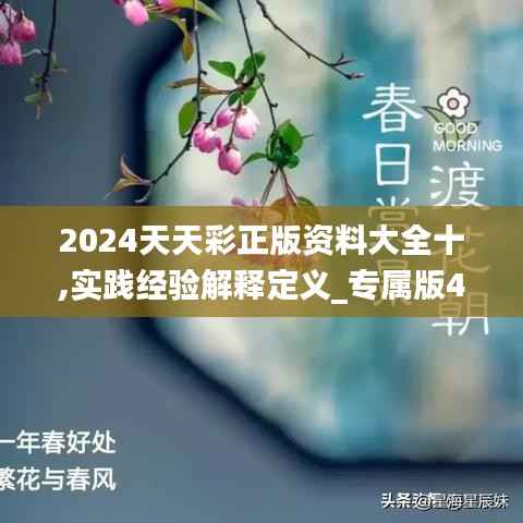 2024天天彩正版资料大全十,实践经验解释定义_专属版43.506-2