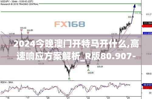 2024今晚澳门开特马开什么,高速响应方案解析_R版80.907-1