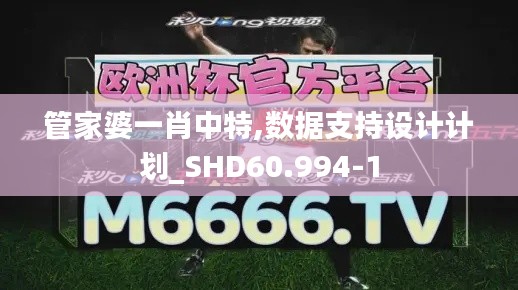 管家婆一肖中特,数据支持设计计划_SHD60.994-1