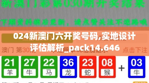 024新澳门六开奖号码,实地设计评估解析_pack14.646