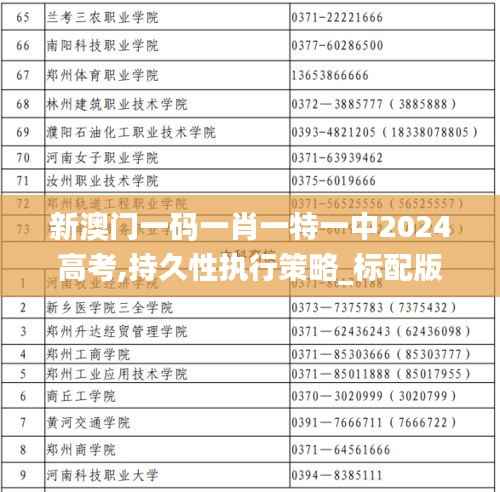 新澳门一码一肖一特一中2024高考,持久性执行策略_标配版66.731-1