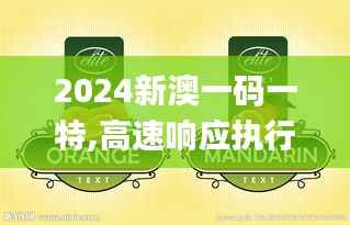 2024新澳一码一特,高速响应执行计划_动态版8.491-6