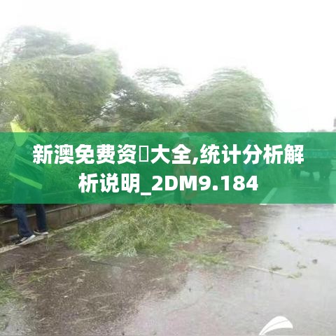 新澳免费资枓大全,统计分析解析说明_2DM9.184