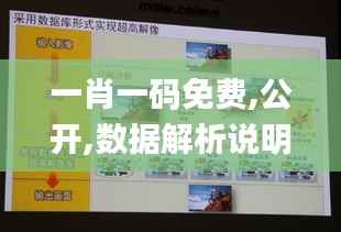 一肖一码免费,公开,数据解析说明_影像版40.303-5