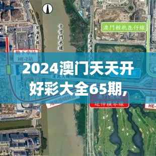 2024澳门天天开好彩大全65期,稳定性策略解析_DX版5.599-6