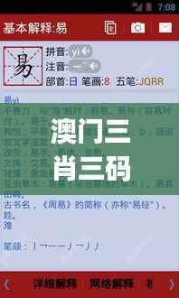 澳门三肖三码精准100%新华字典,适用性方案解析_PalmOS43.271-4