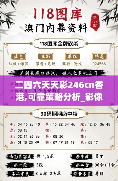二四六天天彩246cn香港,可靠策略分析_影像版86.149-4