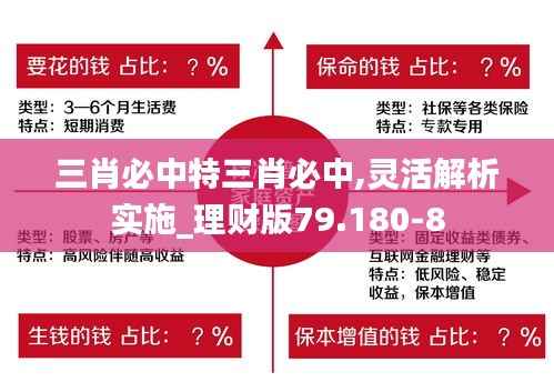三肖必中特三肖必中,灵活解析实施_理财版79.180-8