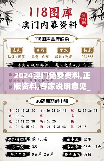 2024澳门免费资料,正版资料,专家说明意见_3DM69.731-4
