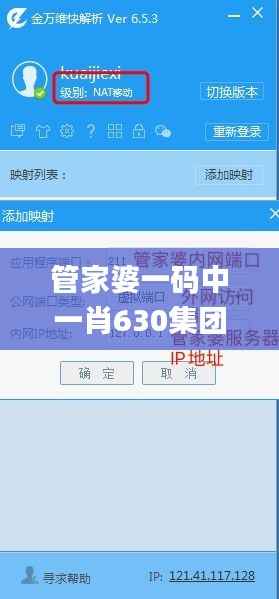 管家婆一码中一肖630集团,系统解答解释定义_黄金版11.873-8