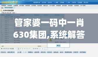 管家婆一码中一肖630集团,系统解答解释定义_黄金版11.873-8