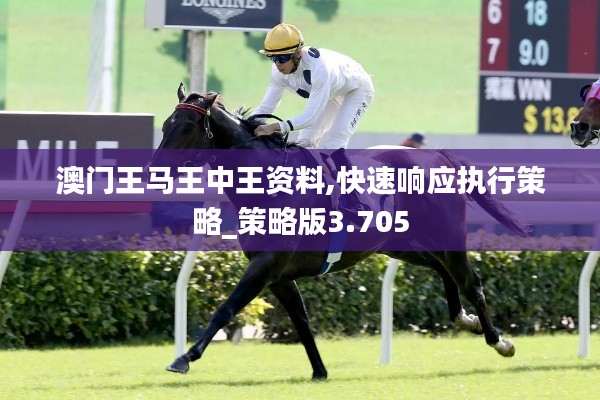 澳门王马王中王资料,快速响应执行策略_策略版3.705