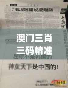 澳门三肖三码精准100%新华字典,状况分析解析说明_4K版76.954-4