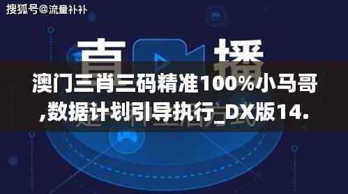澳门三肖三码精准100%小马哥,数据计划引导执行_DX版14.440-6