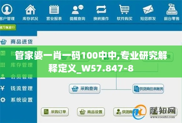 管家婆一肖一码100中中,专业研究解释定义_W57.847-8