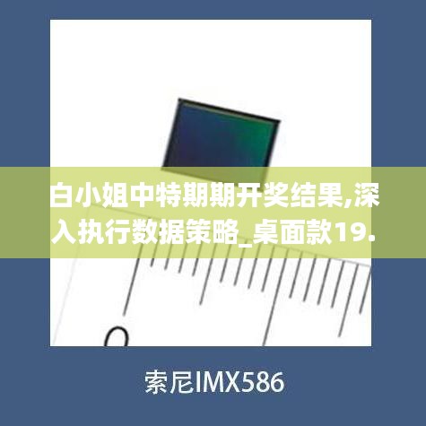 白小姐中特期期开奖结果,深入执行数据策略_桌面款19.582