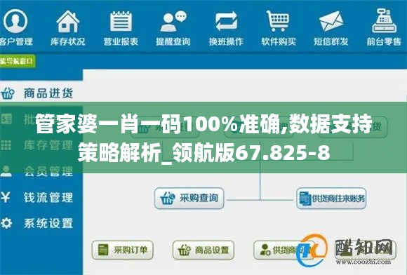 管家婆一肖一码100%准确,数据支持策略解析_领航版67.825-8