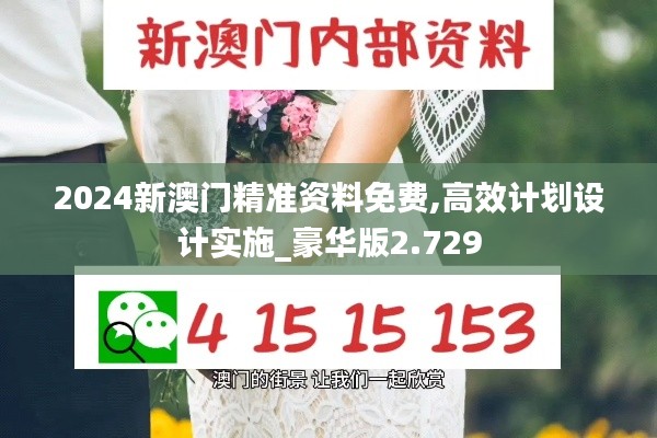 2024新澳门精准资料免费,高效计划设计实施_豪华版2.729