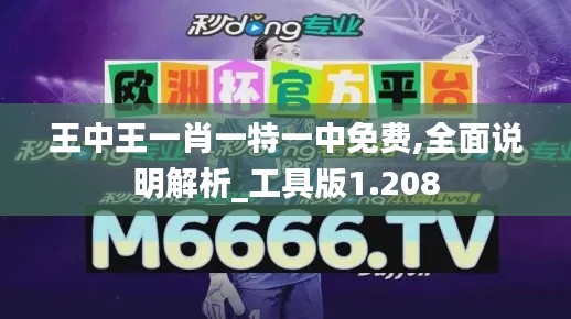 王中王一肖一特一中免费,全面说明解析_工具版1.208
