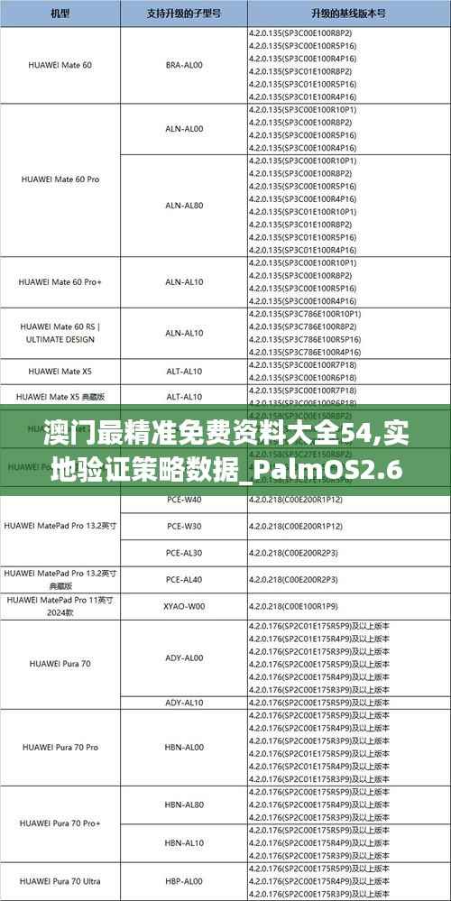 澳门最精准免费资料大全54,实地验证策略数据_PalmOS2.652