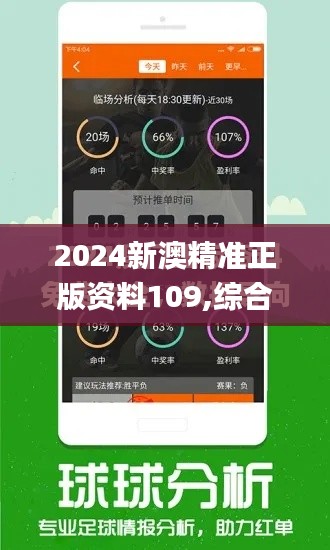 2024新澳精准正版资料109,综合研究解释定义_钱包版9.376