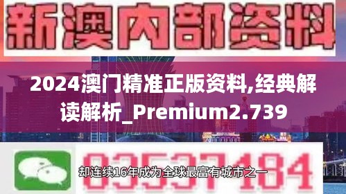 2024澳门精准正版资料,经典解读解析_Premium2.739