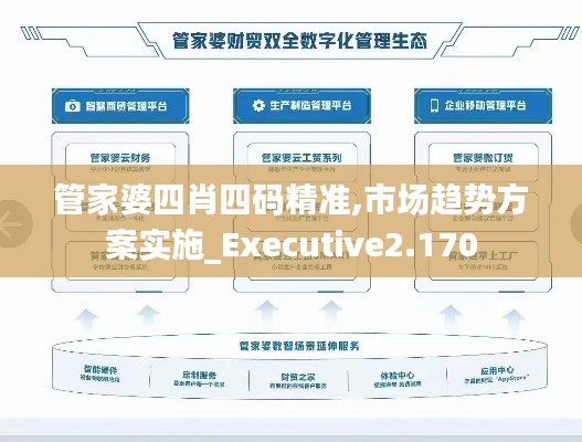 管家婆四肖四码精准,市场趋势方案实施_Executive2.170