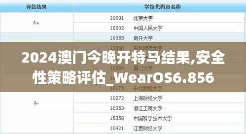 2024澳门今晚开特马结果,安全性策略评估_WearOS6.856