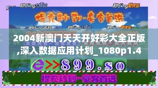 2004新澳门天天开好彩大全正版,深入数据应用计划_1080p1.460