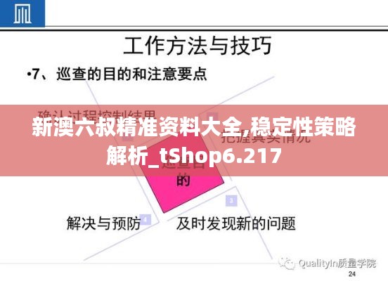 新澳六叔精准资料大全,稳定性策略解析_tShop6.217