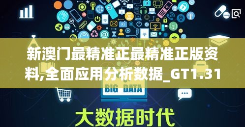 新澳门最精准正最精准正版资料,全面应用分析数据_GT1.313