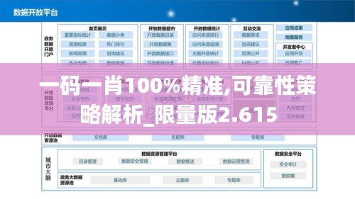 一码一肖100%精准,可靠性策略解析_限量版2.615