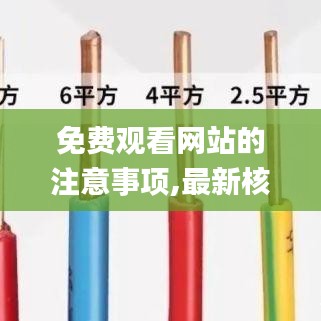免费观看网站的注意事项,最新核心解答定义_YE版1.732