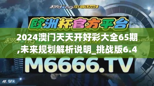 2024澳门天天开好彩大全65期,未来规划解析说明_挑战版6.497