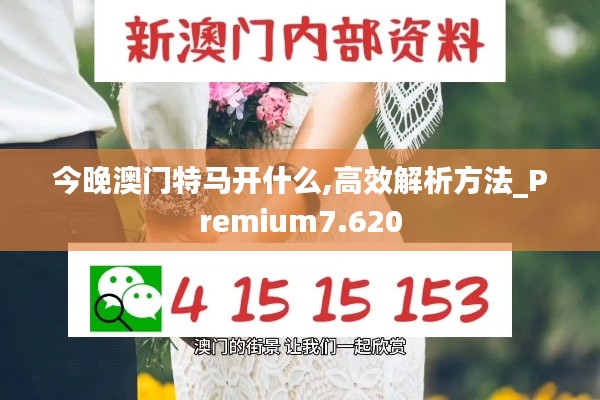 今晚澳门特马开什么,高效解析方法_Premium7.620