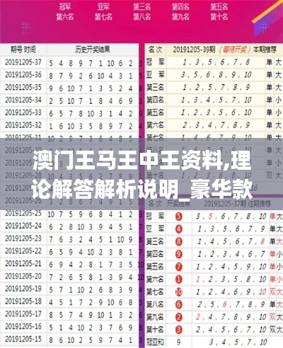 澳门王马王中王资料,理论解答解析说明_豪华款4.774